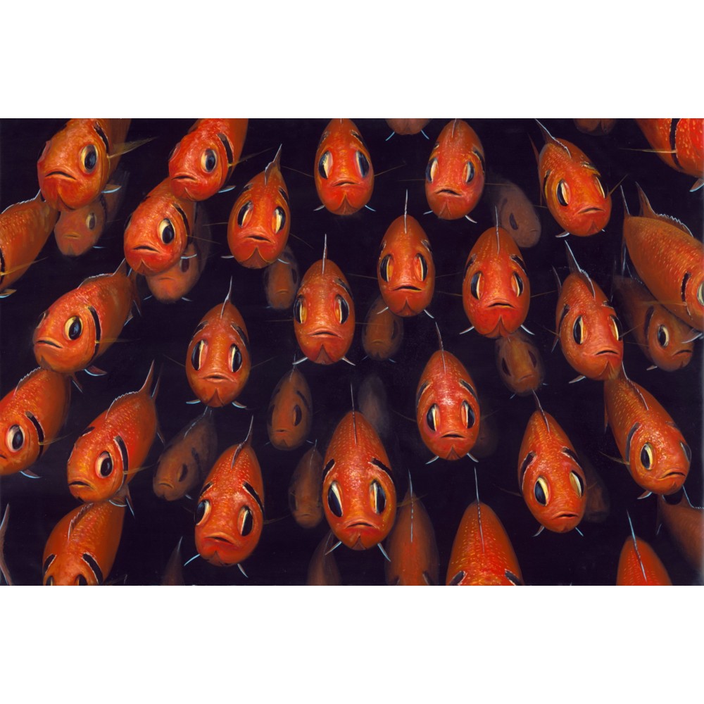 670 Soldierfish school - Patrick Chevailler : Edition sur toile - Galerie Arnaud