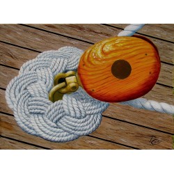 Pulley and ropework