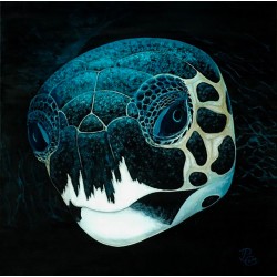 Turtle head by night - Patrick Chevailler : Huile sur toile - Galerie Arnaud