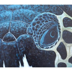 Turtle head by night - Patrick Chevailler : Huile sur toile - Galerie Arnaud