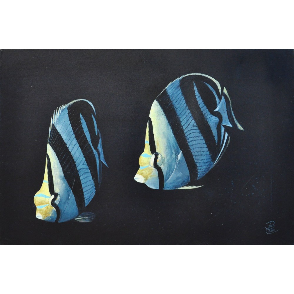 Banded Butterfly couple  - Patrick Chevailler : Huile sur toile - Galerie Arnaud