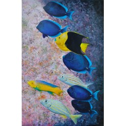Fishes feeding on a coral wall