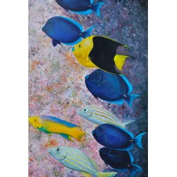 Fishes feeding on a coral wall - Patrick Chevailler : Huile sur toile - Galerie Arnaud, la rochelle