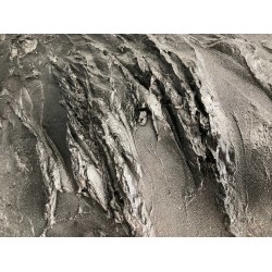 sous la neige - L-Ezekielle : Huile et acrylique sur toile - Galerie Arnaud